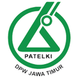 Logo DPW PATELKI